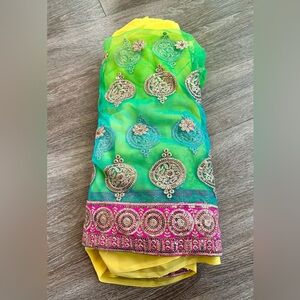 Multicolored Ombré Saree with Gold Embroidery